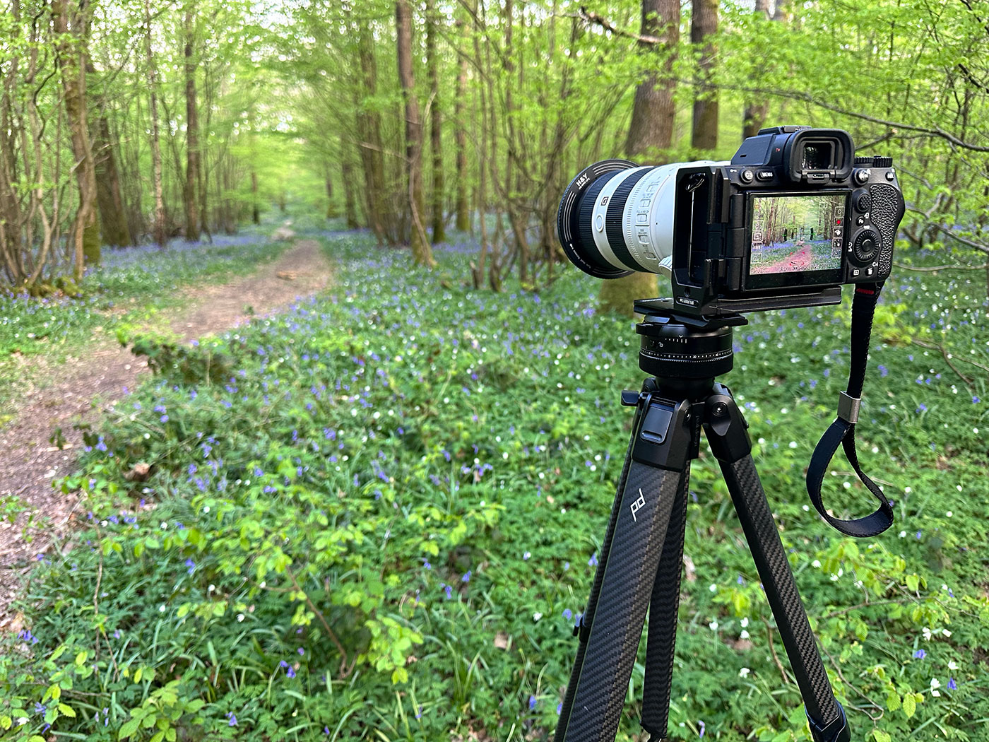Capturing bluebells with a pro f/2.8 zoom lens and the Pro Lite tripod