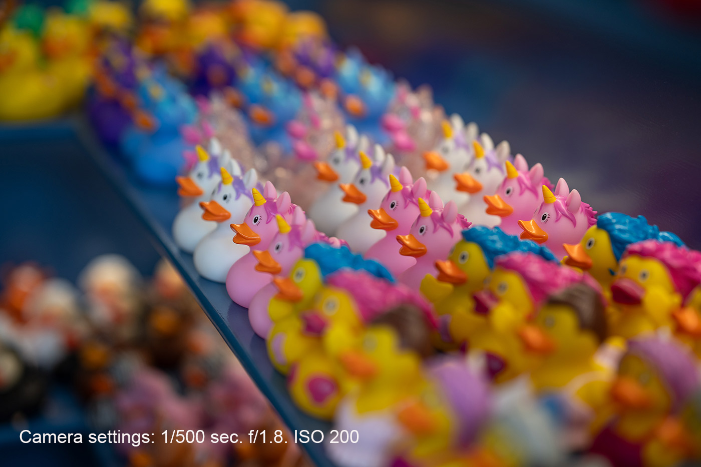 Sample 05 Rubber Duckies. Camera settings: 1/500 sec. f/1.8. ISO 200