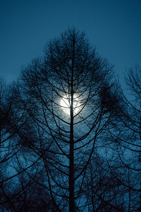 Sample image by Mina Daimon