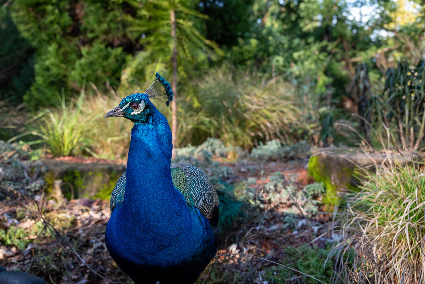 Sample 01 Z 24-200 mm f/4-6.3 VR @35mm with Nikon Z5. Camera settings: 1/500 sec. f/4.8. ISO 800