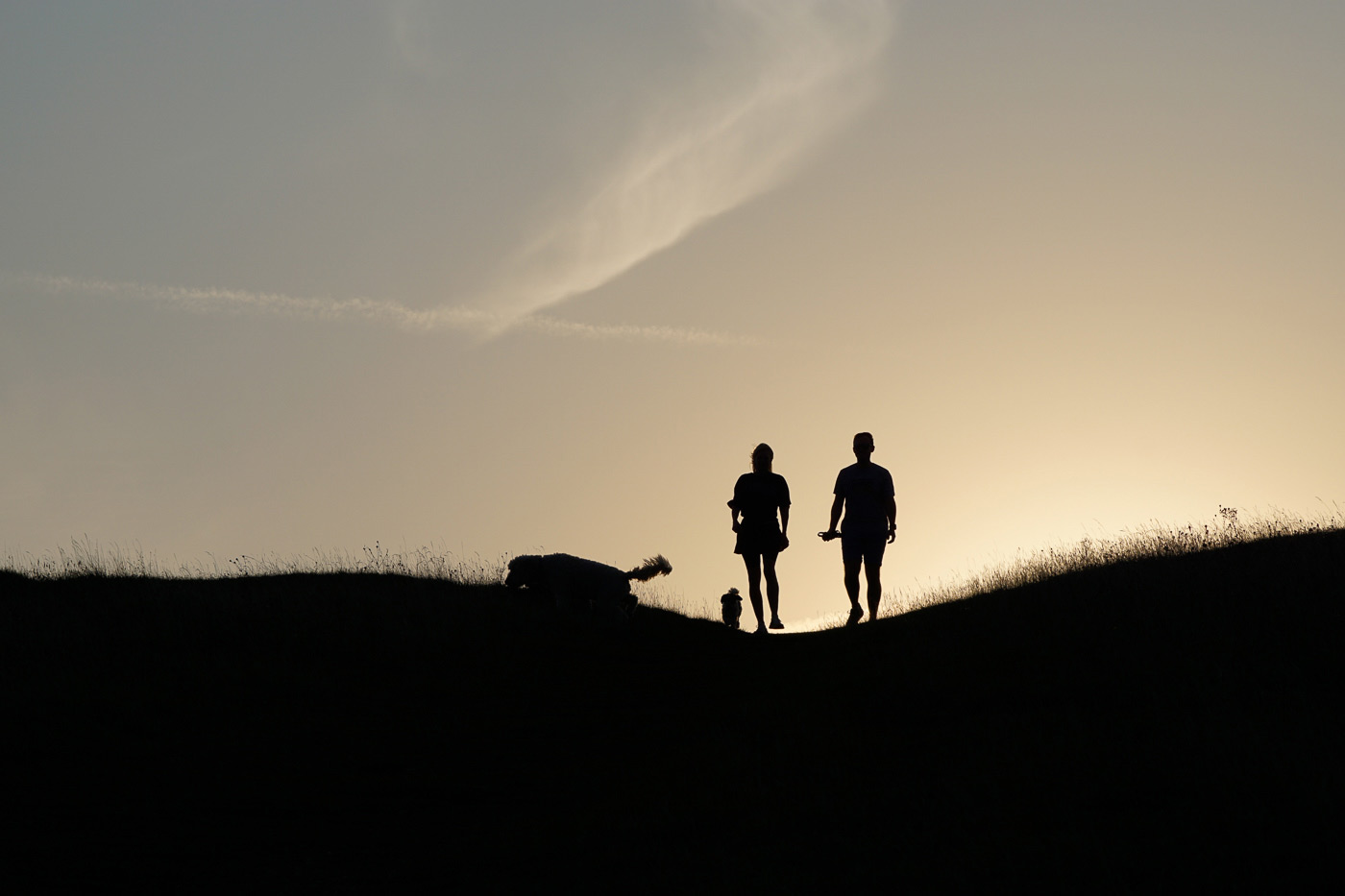 Sample image 05 silhouette. Captured with FE 100-400mm F/4.5-5.6 GM OSS lens at 100mm. Camera settings: 1/800 sec. f/9. ISO 100.