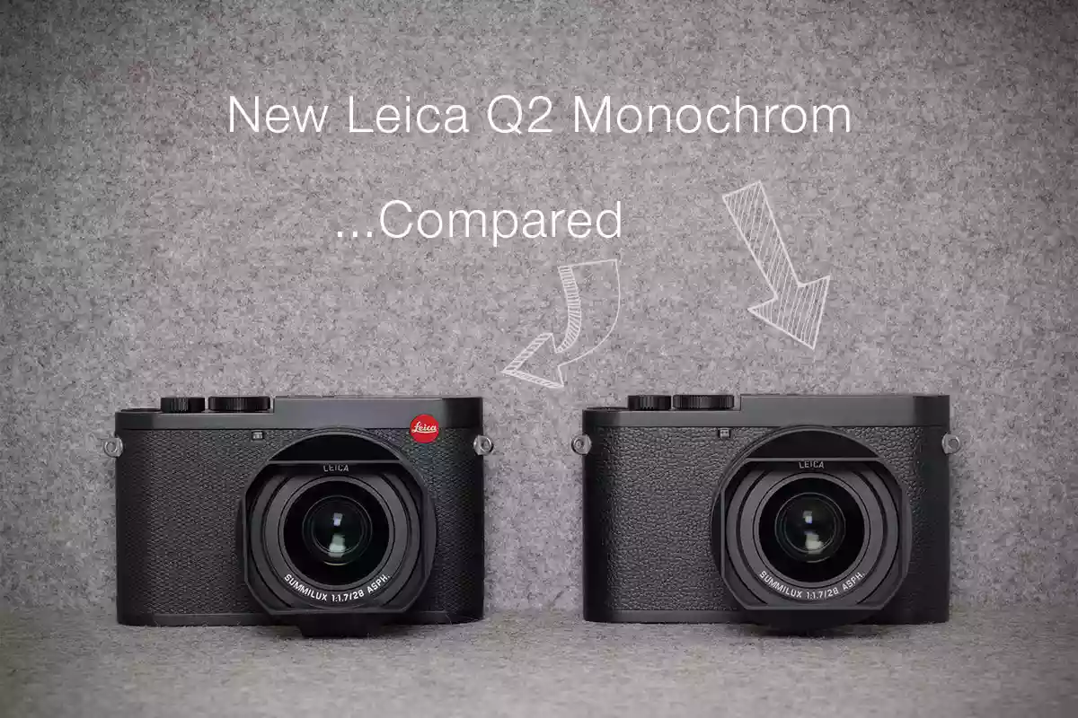 Comparison between the Leica Q2 and Q2 Monochrom