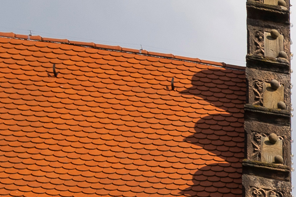 100 percent crop from the edge of the frame