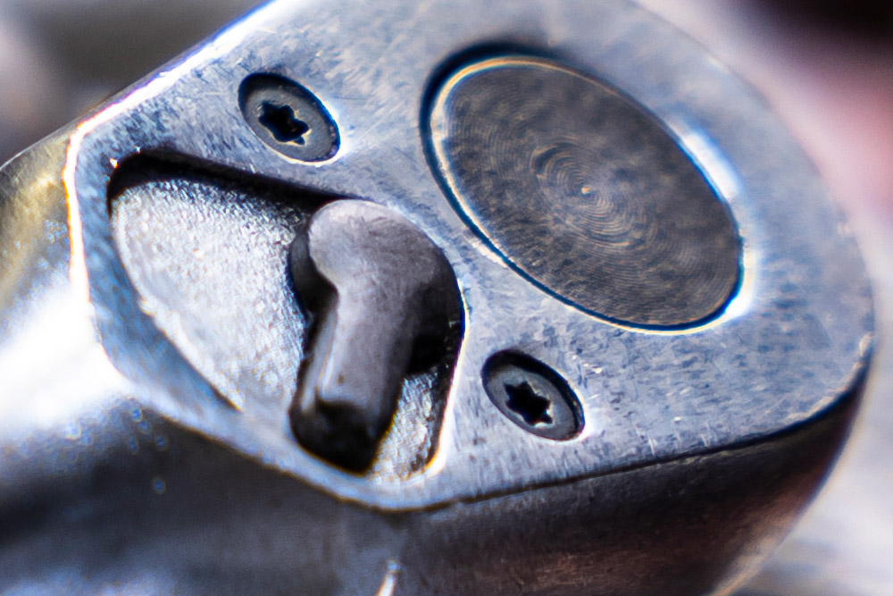 crop of sharp details even close-up