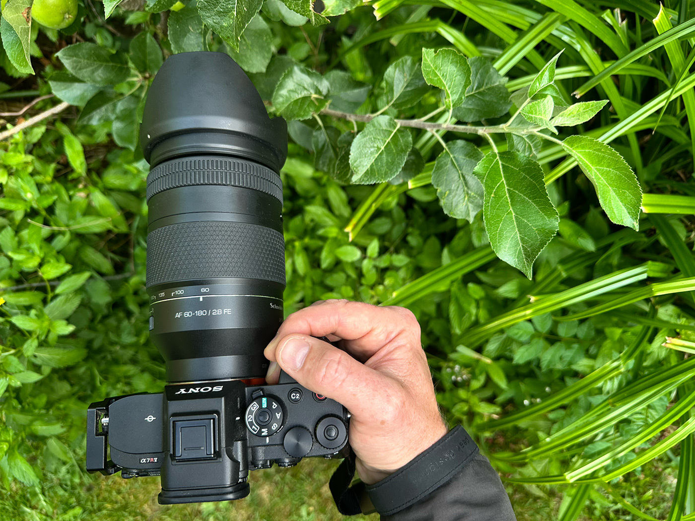How the camera and lens sit in the hand