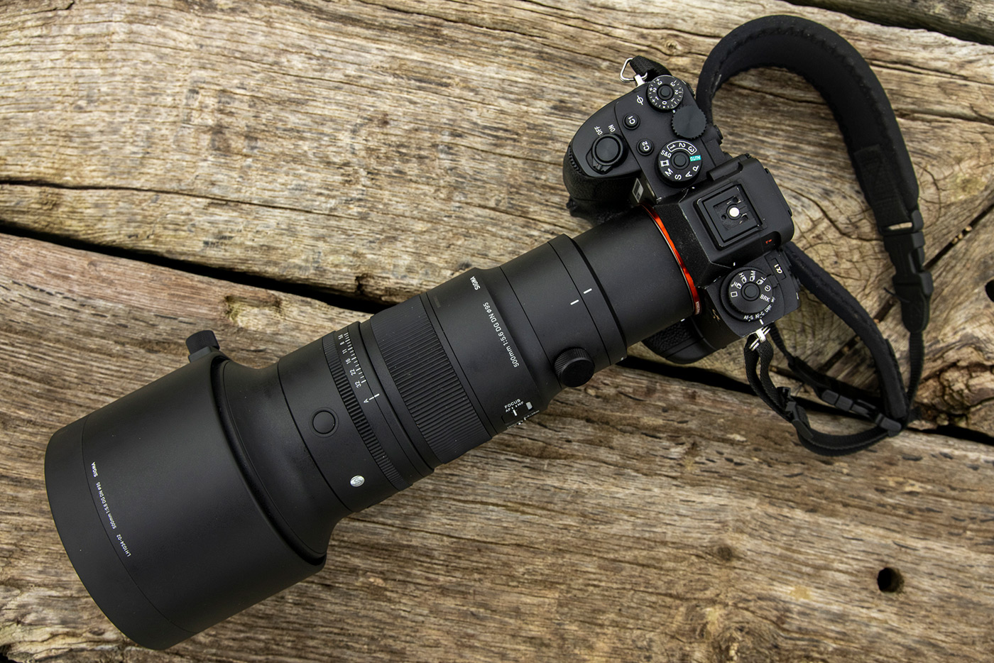 The https://dtz3um9jw7ngl.cloudfront.net/blog/content/lunar-eclipse-tonight-how-to-capture-it/sigma-dg-dn-500mm-lens.jpg would be a great choice