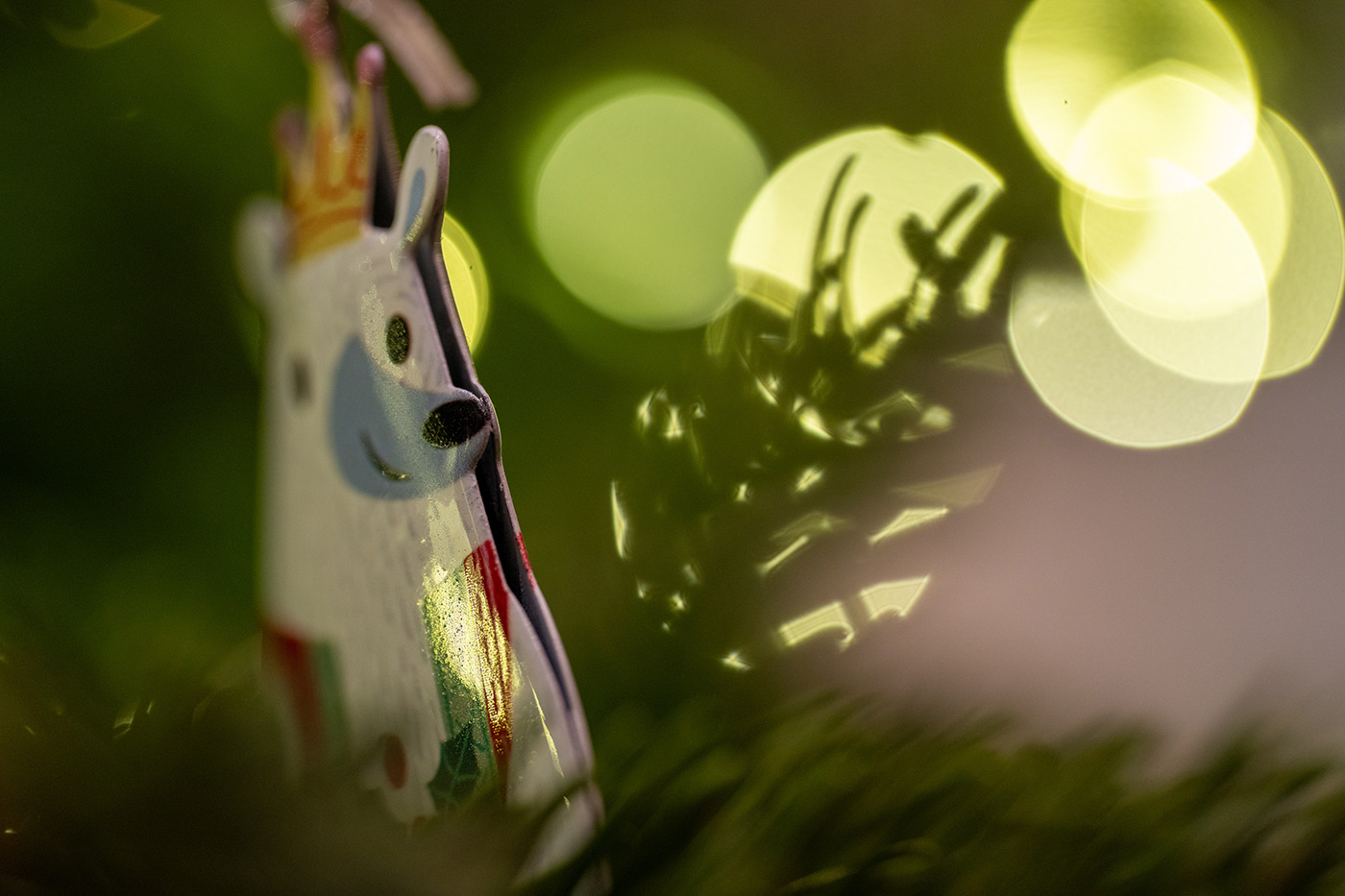 Sample 06 Closeup Storytelling Sony FE 100mm F2.8 Macro GM OSS Lens. Camera settings: 1/60 sec. f/2.8. ISO 1600