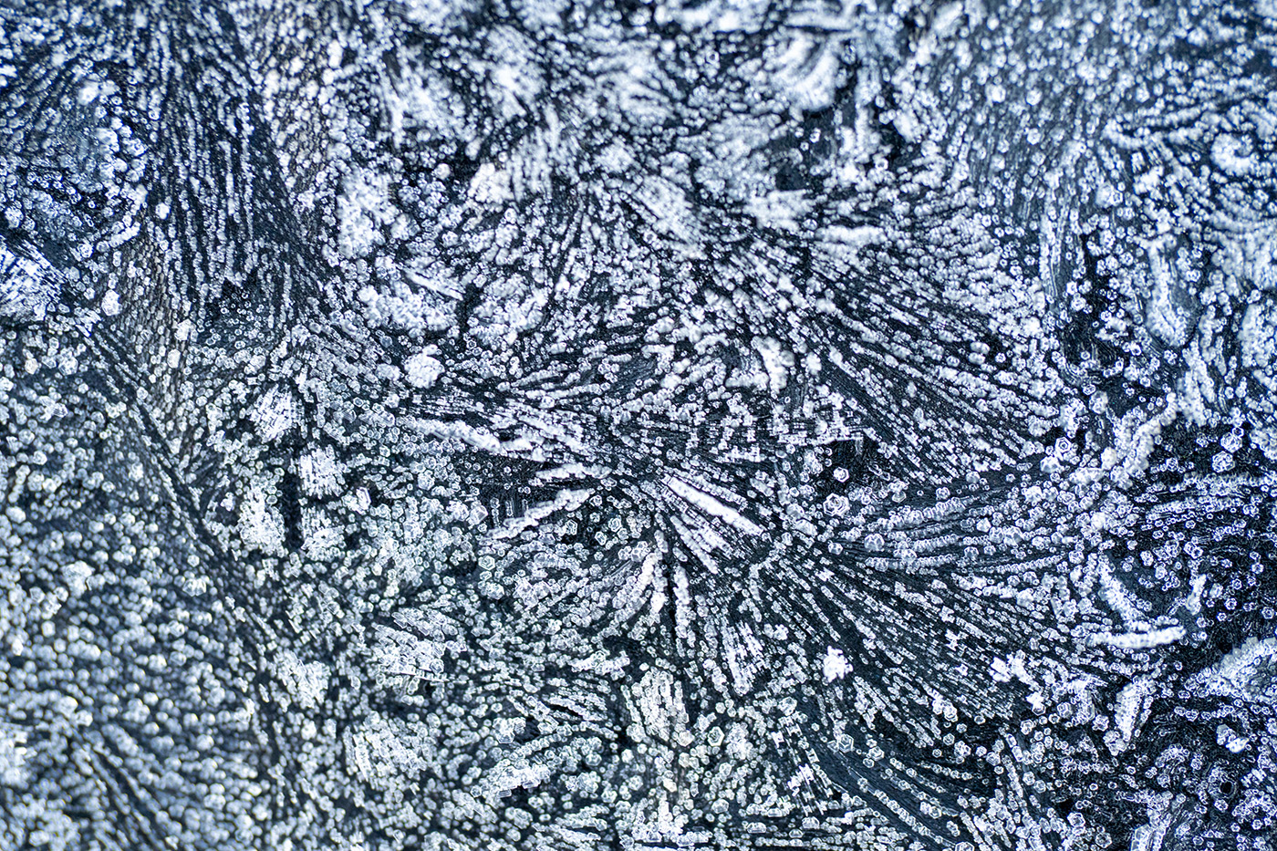 Sample 09 Ice Patterns Sony FE 100mm F2.8 Macro GM OSS Lens. Camera settings: 1/125 sec. f/2.8. ISO 2000