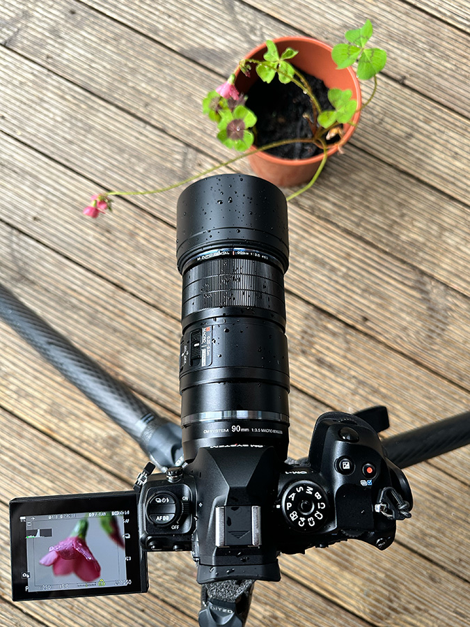 Setup showing tripod mounted body really close to the flower subject