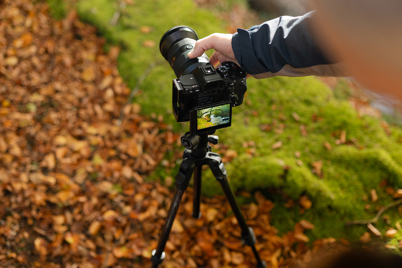 Focusing while the tripod was lower to the ground