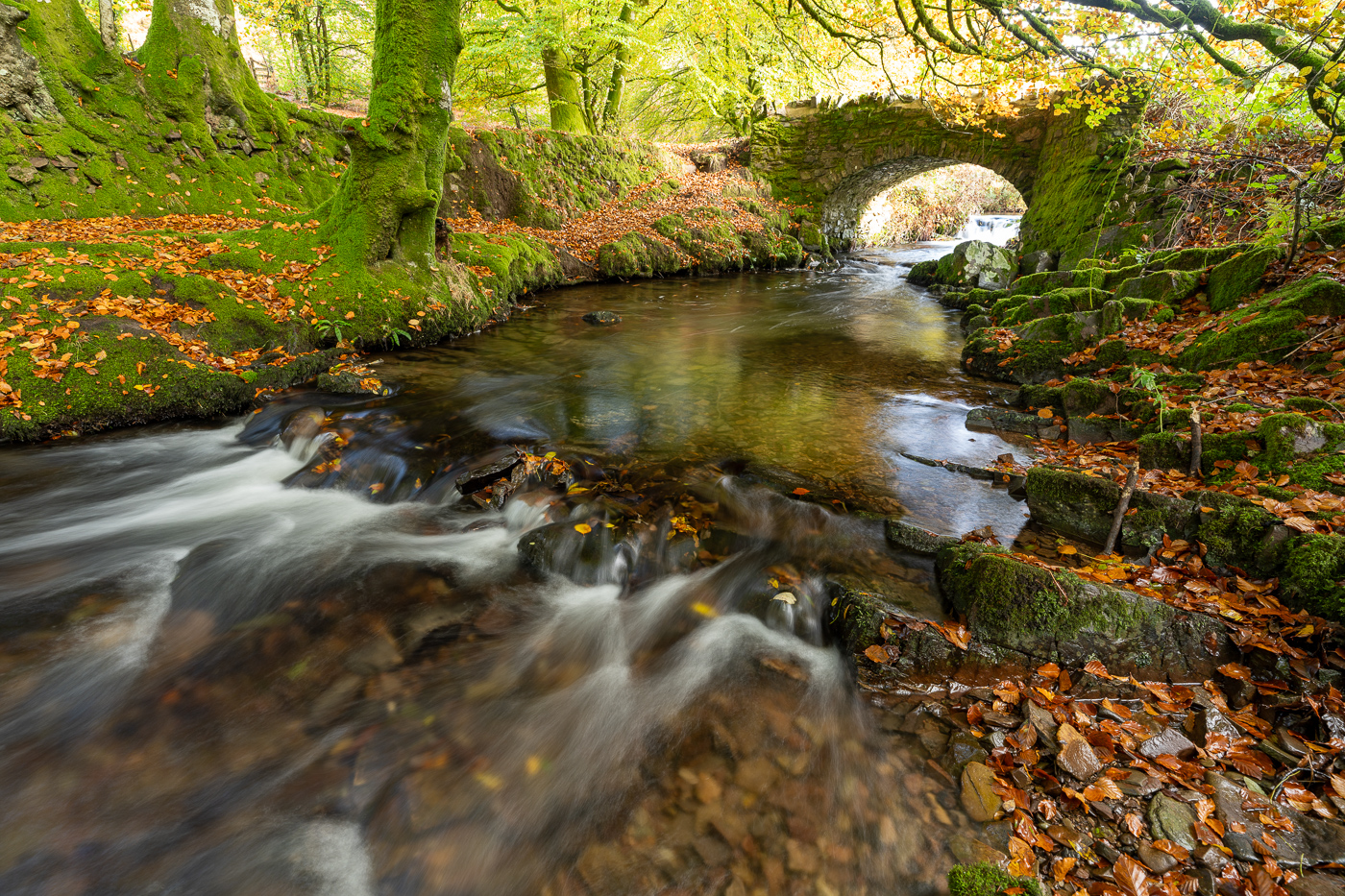 Sample landscape © Nick Dautlich tripod mounted. Camera settings: 1.3 seconds. f/8. ISO 100