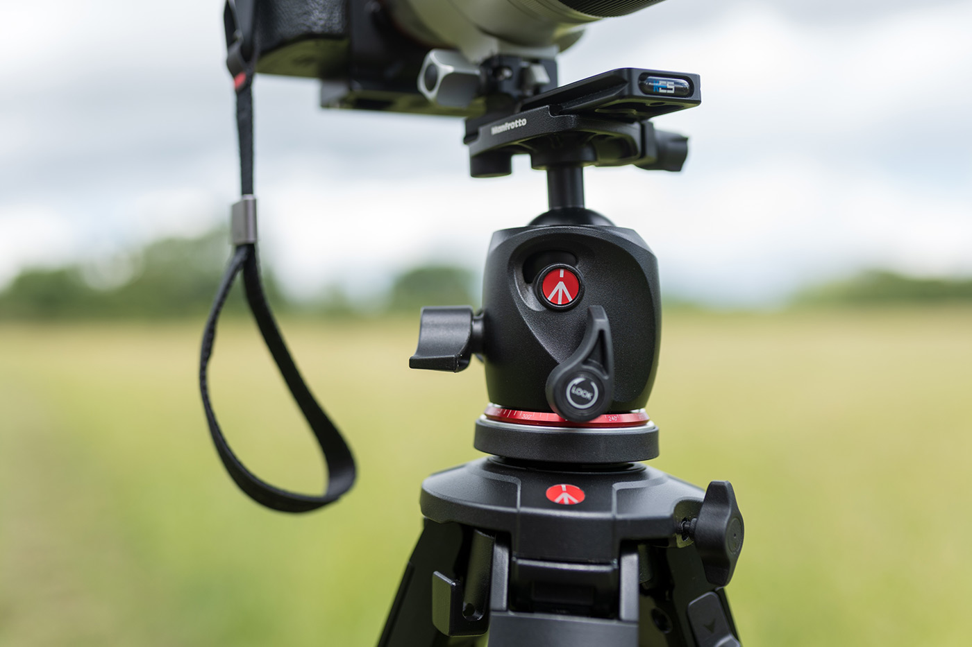Close-up of the XPRO ball head