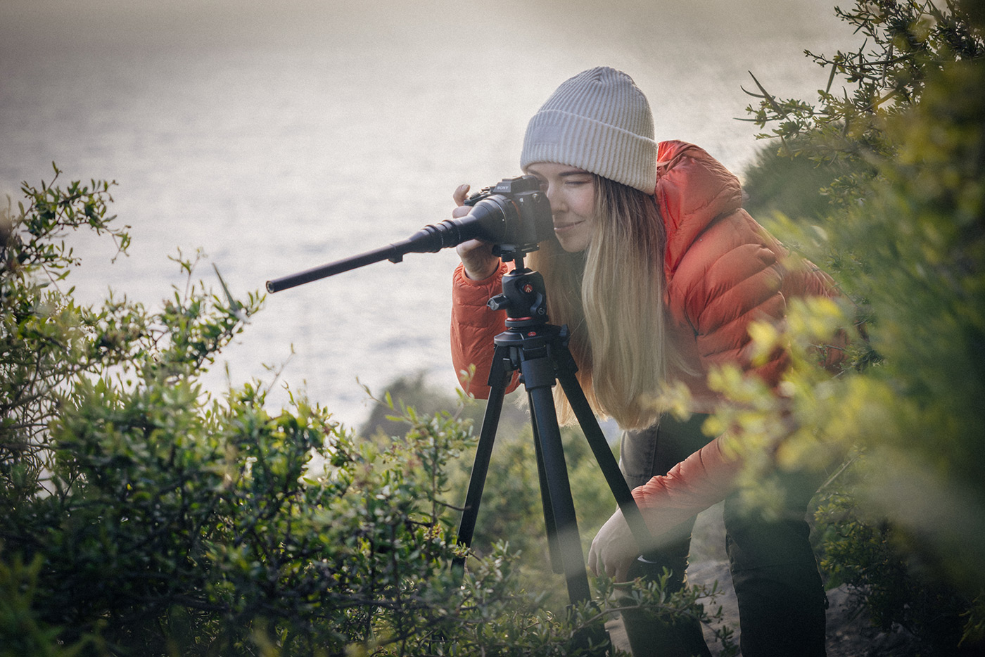 Shooting macro with the ball head kit tripod version