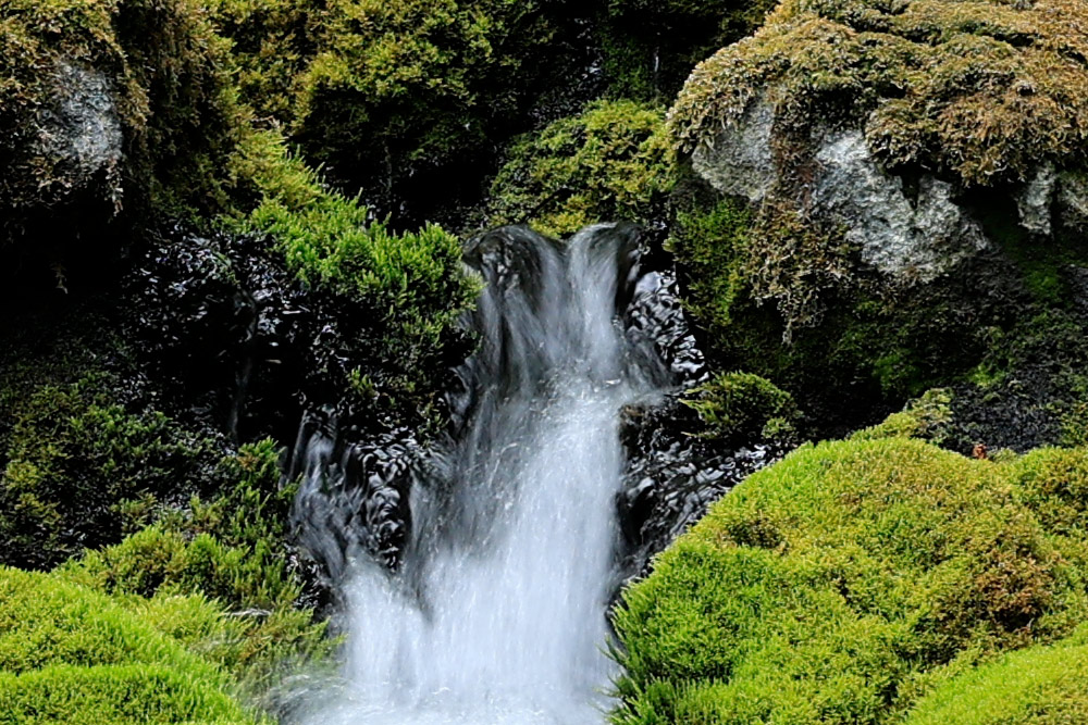 100% crop from above sample image