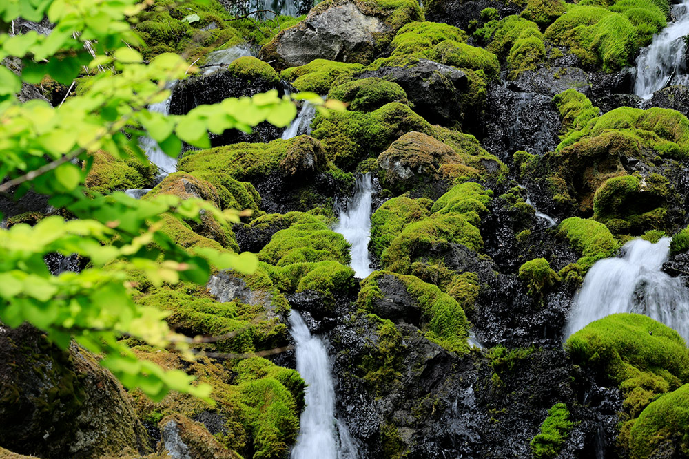 Landscape with 100-400mm RF Canon lens