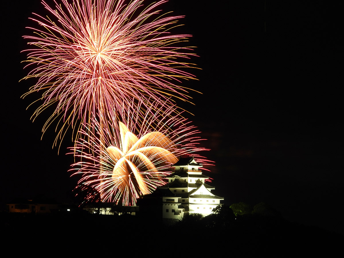 Sample image fireworks Nikon Coolpix 1100 @89mm. Camera settings 4.0 sec. f/8. ISO 100