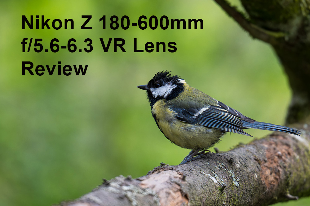Nikon Z 180-600mm f/5.6-6.3 VR Lens Review
