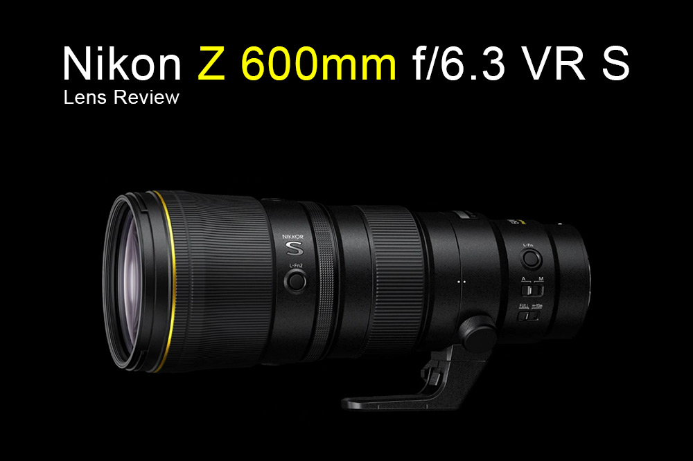 Nikon Z 600mm f/6.3 VR S Lens review