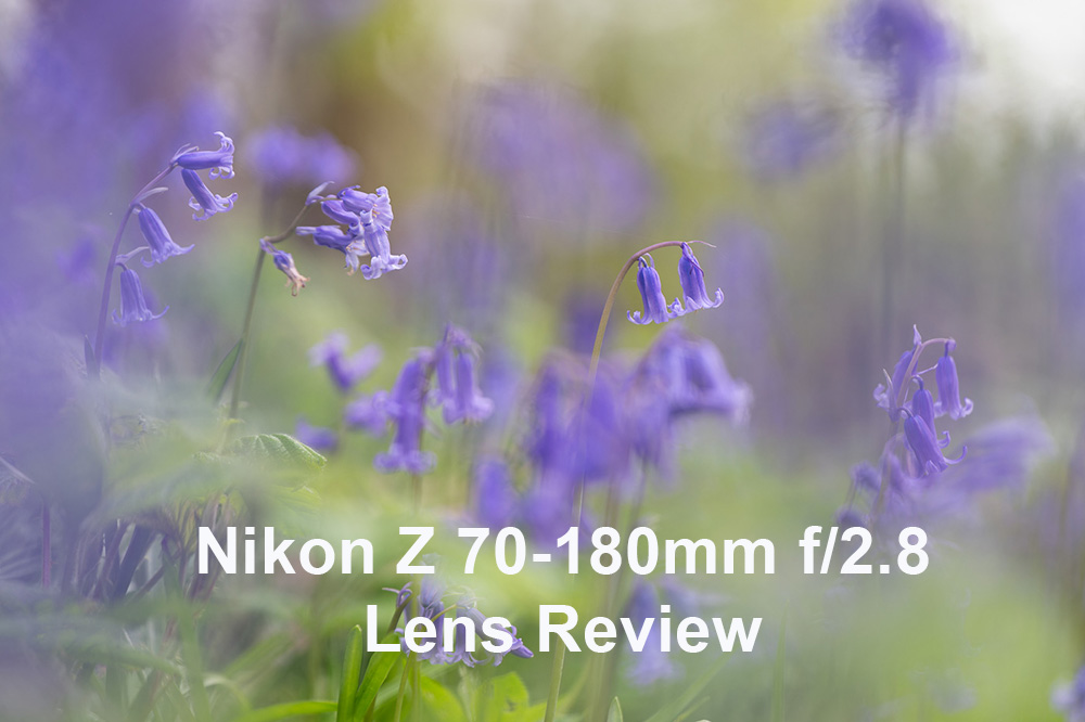 Nikon Z 70-180mm f/2.8 Lens Review