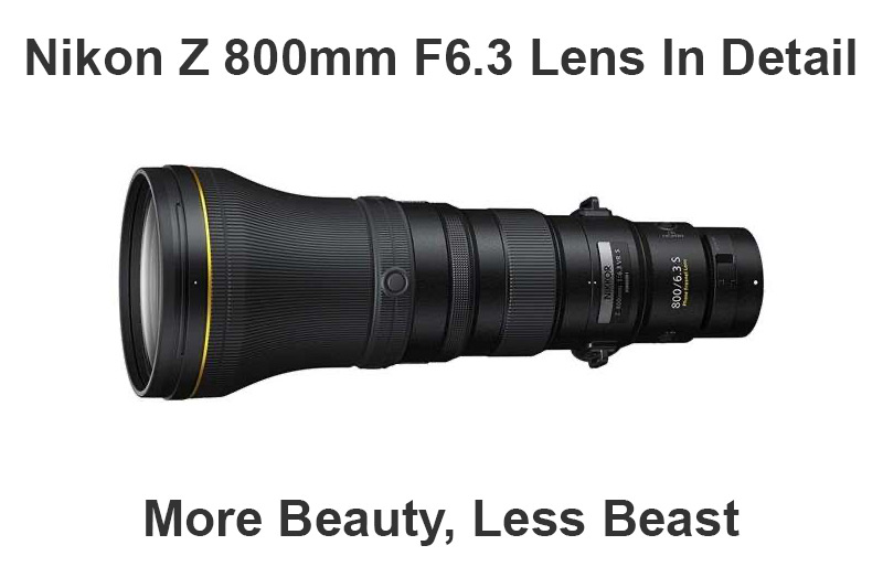 Nikon Z 800mm F6.3 Lens In Detail - More beauty less beast