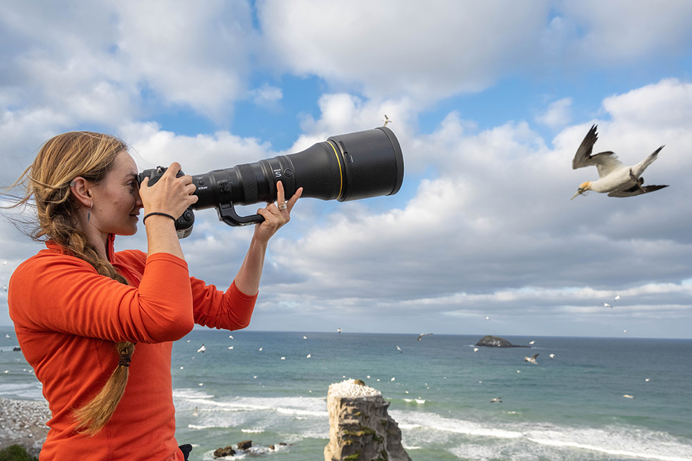 Photographing birds with the Nikon Z 800mm lens