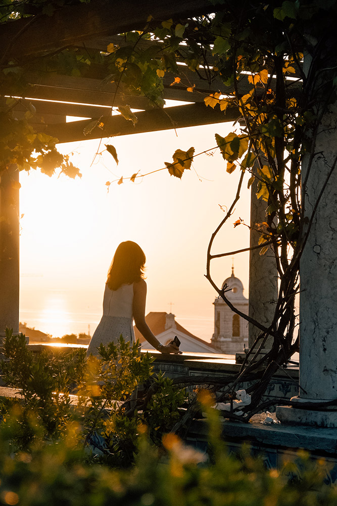 Sample image with NIKKOR Z DX 16-50mm f/3.5-6.3 VR Silver Edition lens