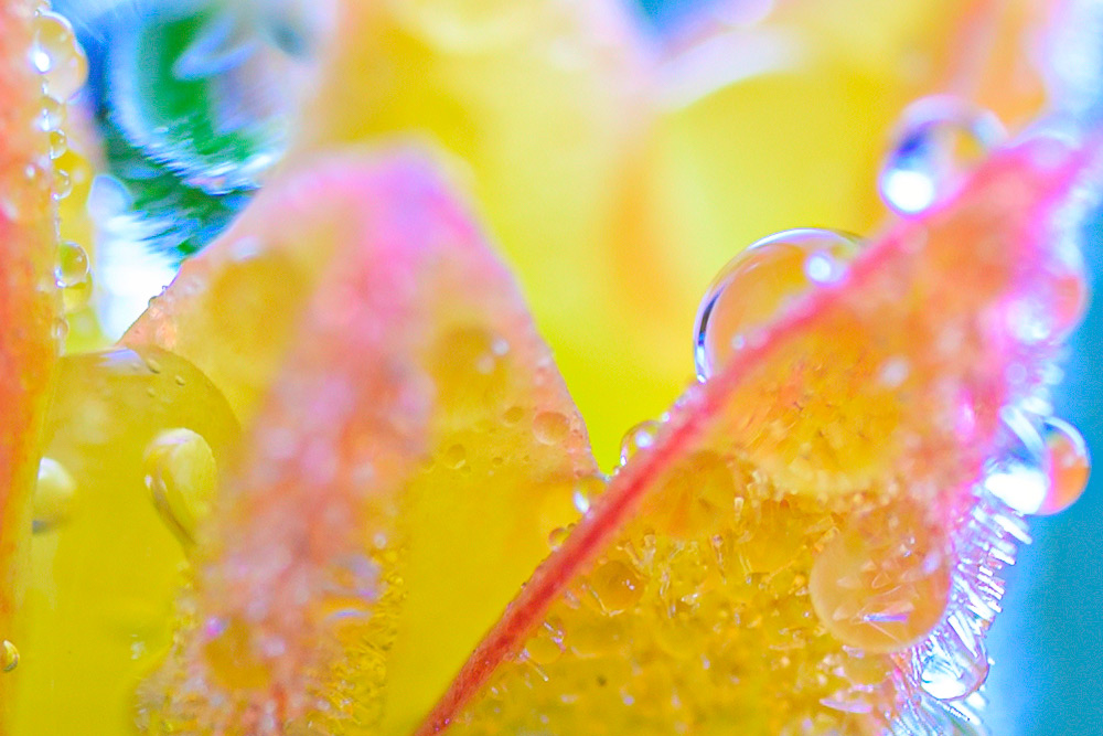 Full crop look again!