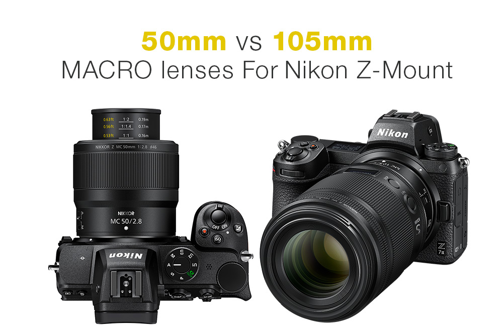 Nikon Z Mirrorless macro lenses compared