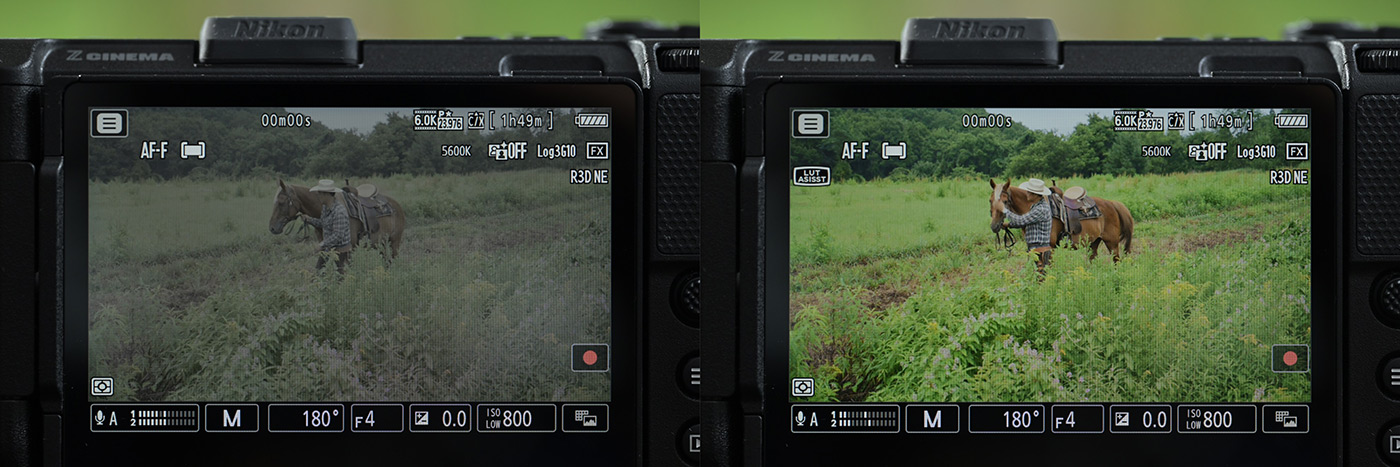 Previewing with LUTs