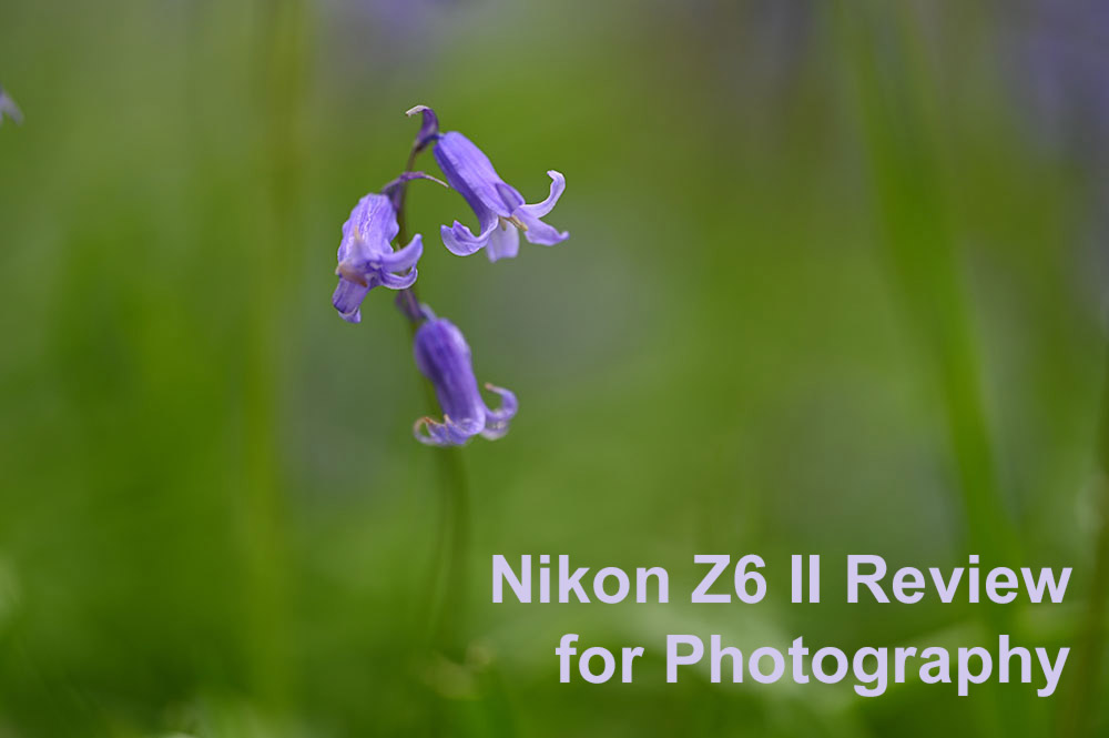 Nikon Z6 II Review for Photography with lots of sdample images