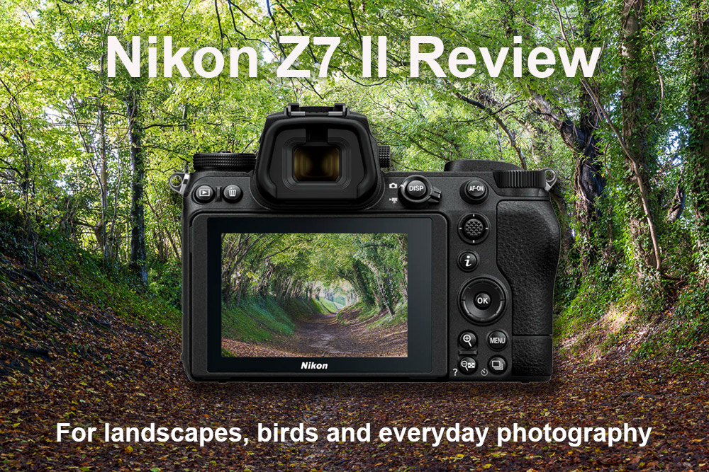 Nikon Z7 II Review (for landscape and nature photography)