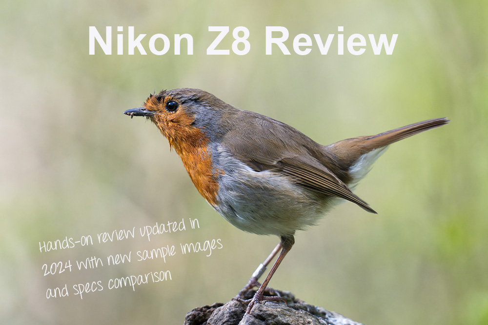 Nikon Z8 Review (Updated for 2024 with hands-on sample images)