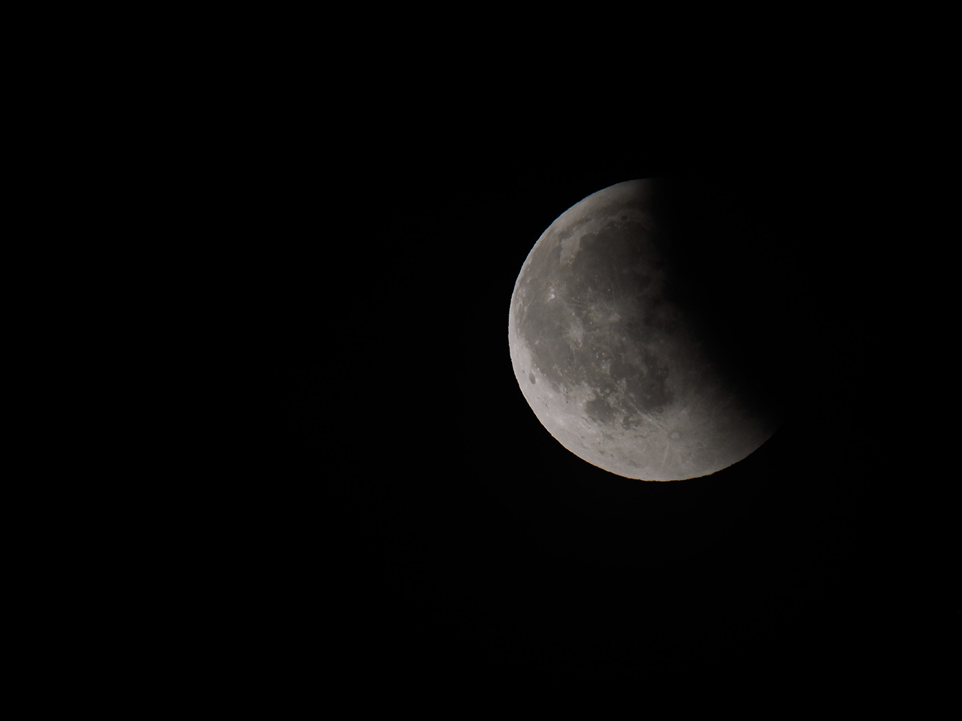Sample 03 with OM System 150-600mm f/5.0-6.3 Lens @600mm. Camera settings: 1/640 sec. f/6.3. ISO 640 (right click to open larger)