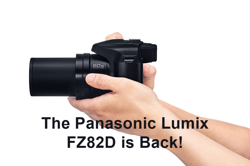 The Panasonic Lumix FZ82D is Back!