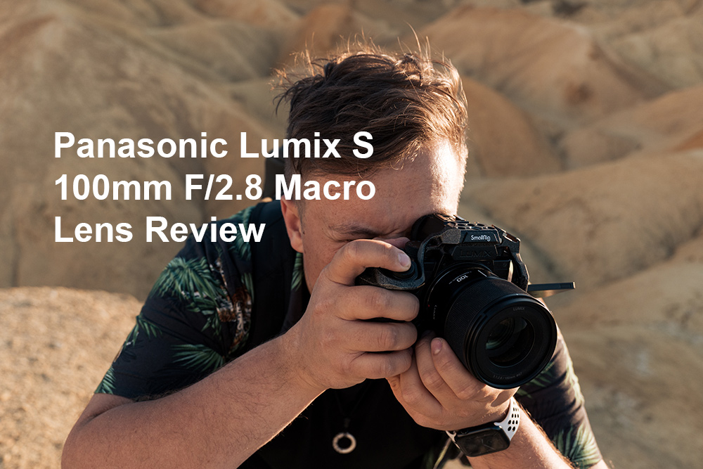 Panasonic Lumix S 100mm F/2.8 Macro Lens Review