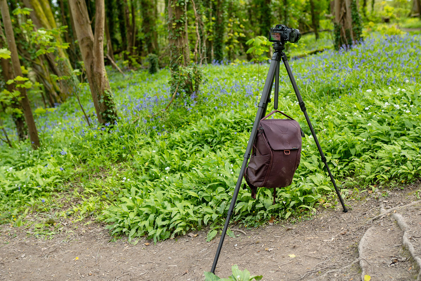 Landscape photography with the bag