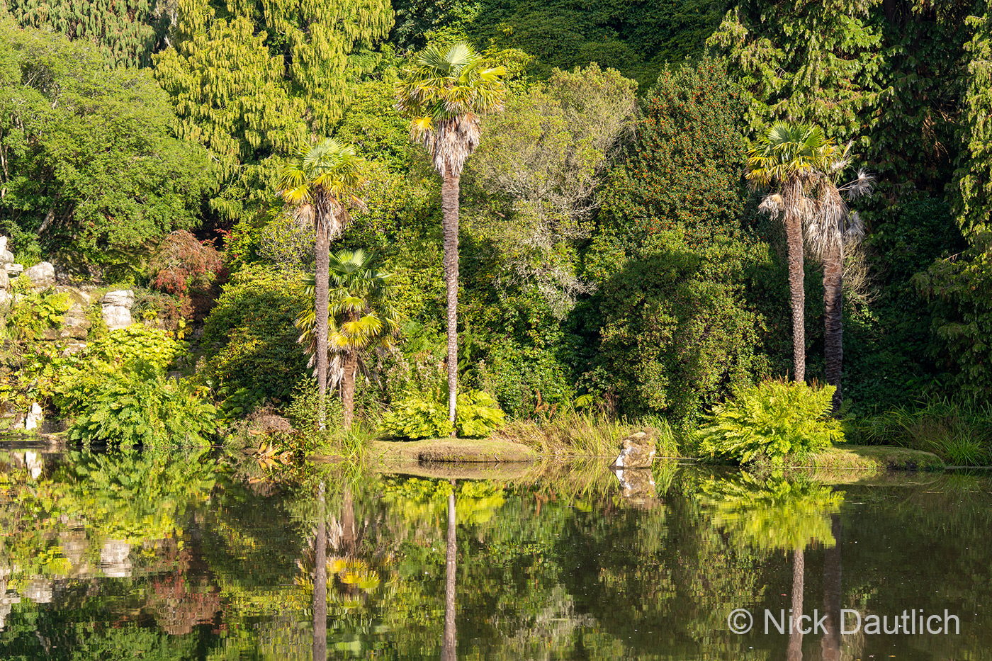 The effects of polarisation on water