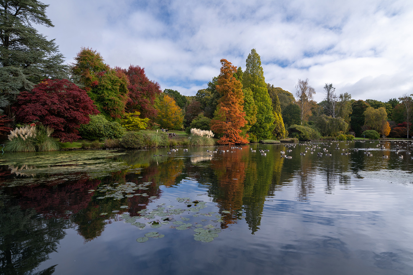 Sample 05 Autumn colours @22mm. Camera settings: 1/60 sec. f/8. ISO 100 (right click to enlarge)