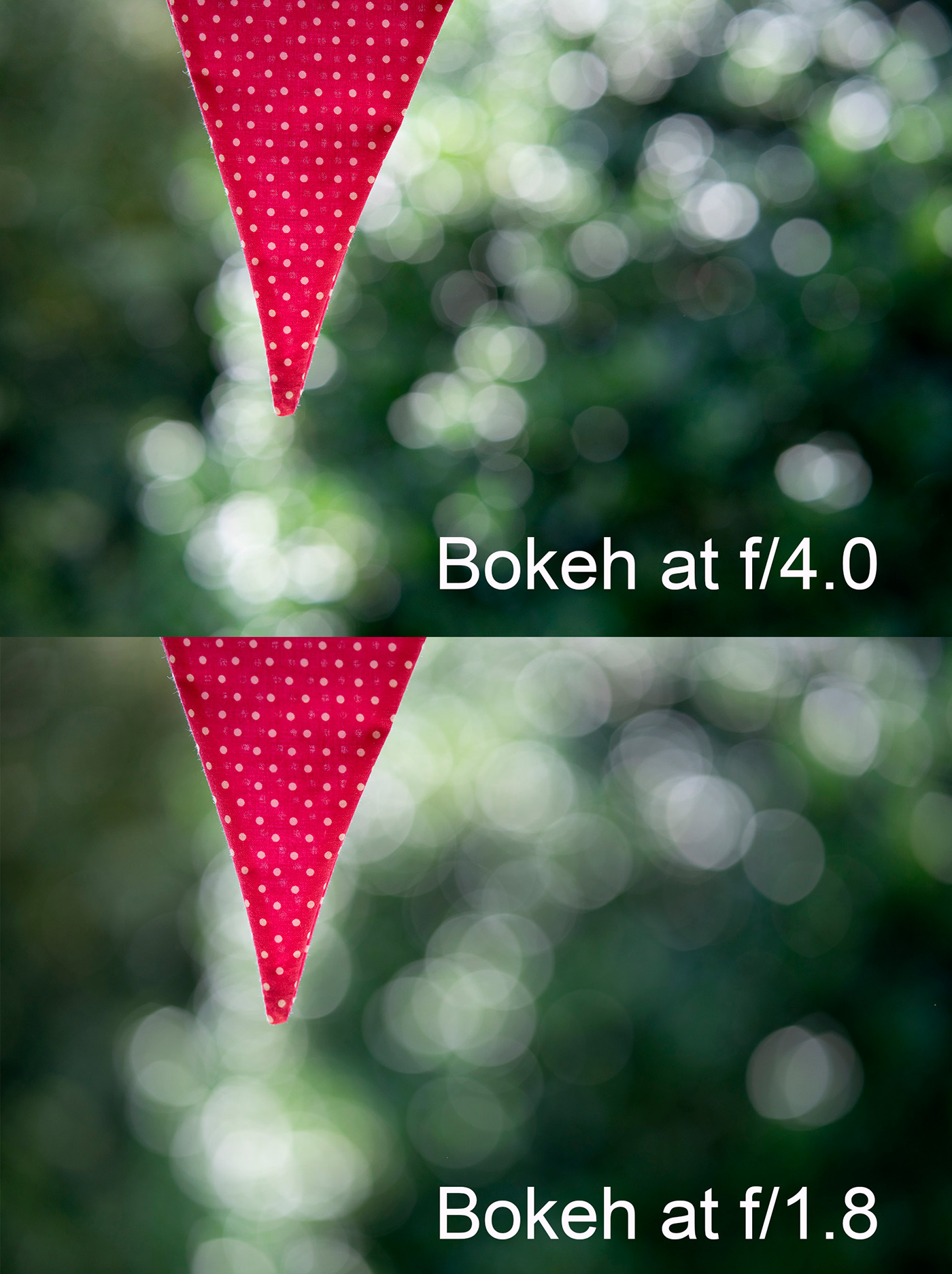 Samyang AF 85mm F/1.8 P FE bokeh comparison at f4 and f1.8
