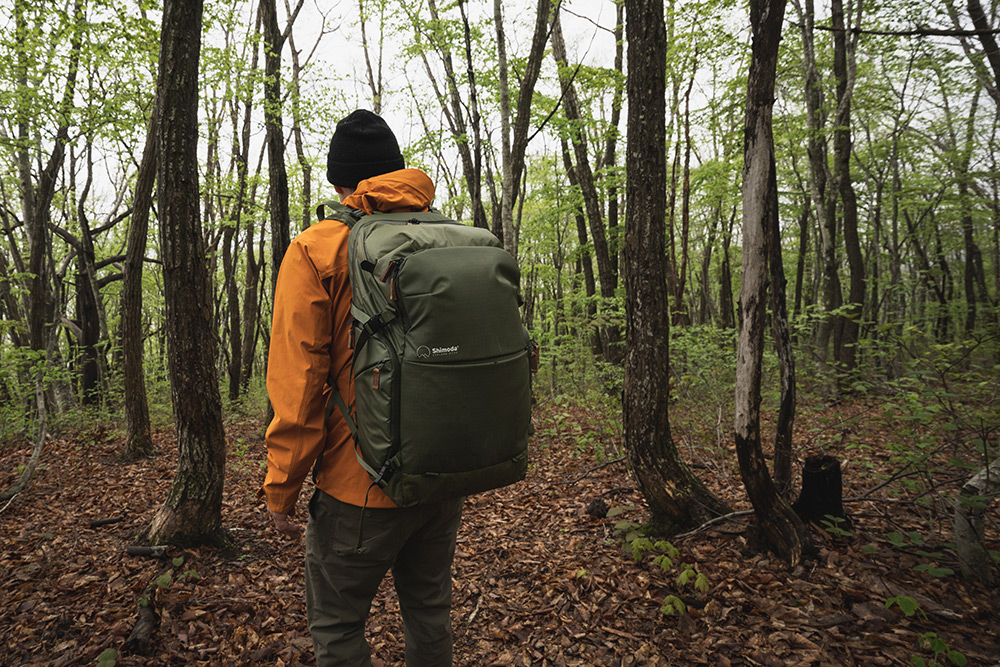 Forest hike with my backpack