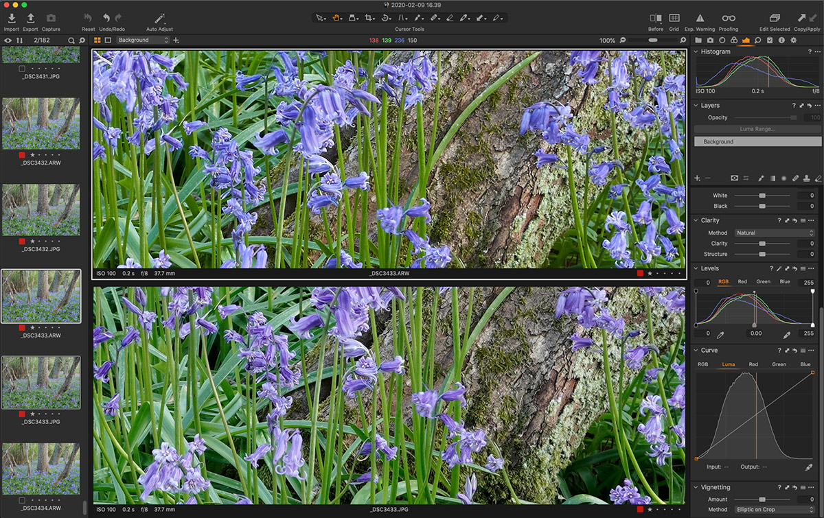 100 crop of RAW vs JPEG in Capture One