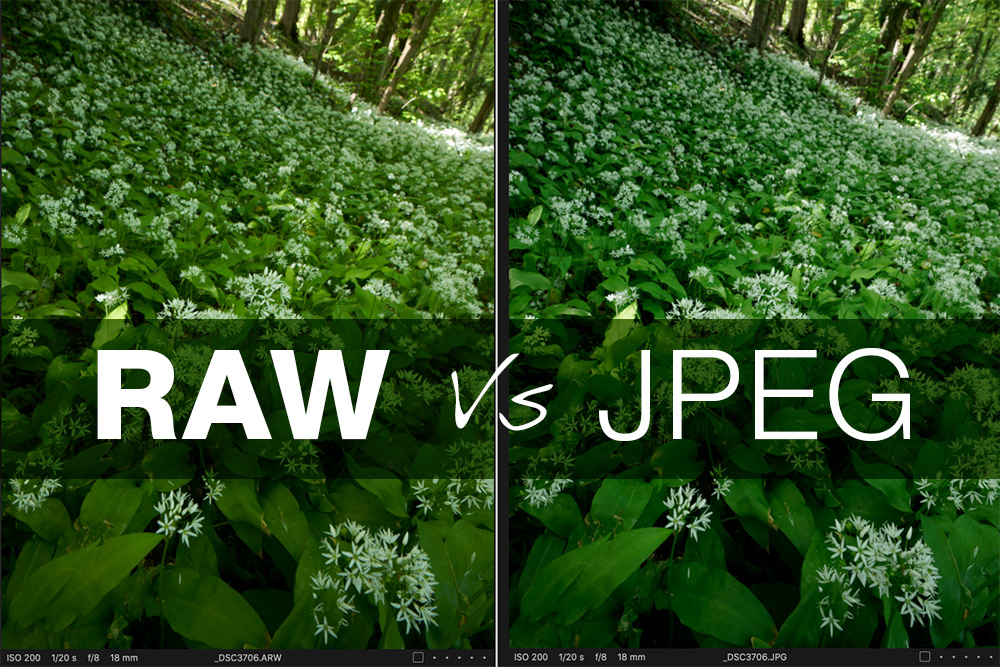 RAW Vs JPEG Why shoot in raw