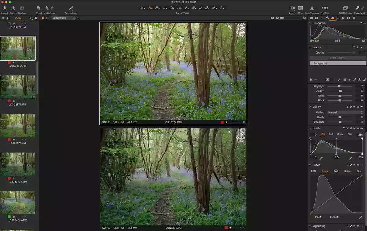 Full image RAW vs JPEG in Capture One Pro Editing mode