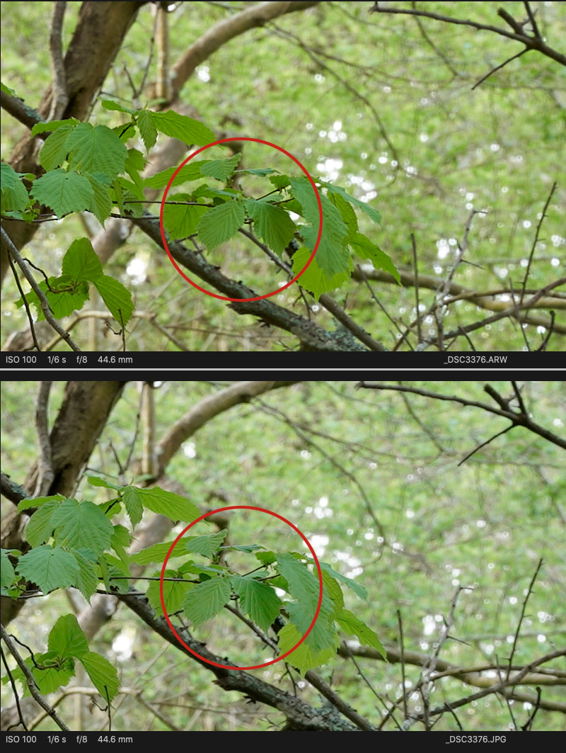 Why Shoot Photos In RAW (RAW / Jpeg) Blog Park Cameras