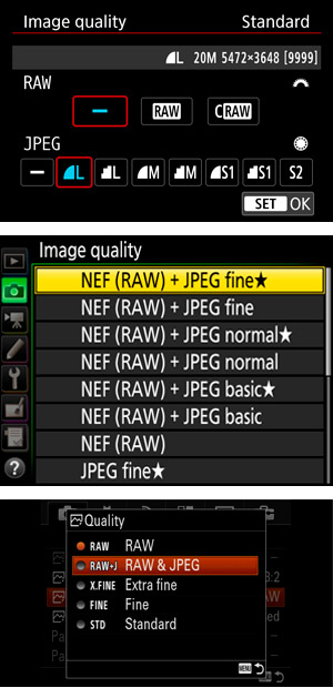 Selecting RAW in camera menu