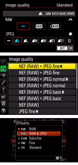 Selecting RAW in camera menu