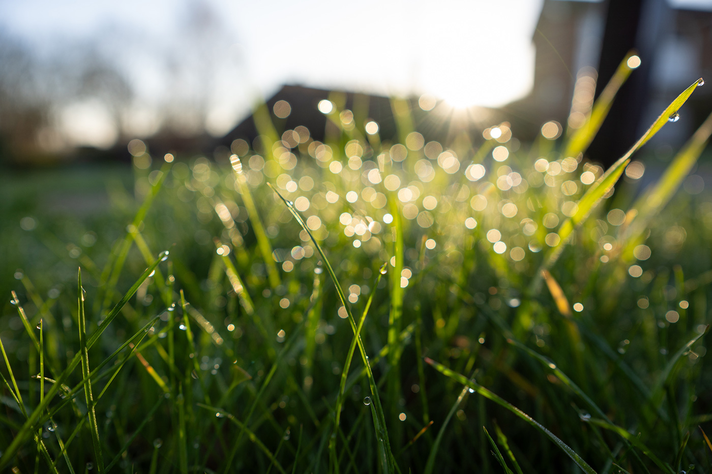 Sample 07 Bokeh example. Camera settings: 1/500 sec. f/2.8. ISO 100