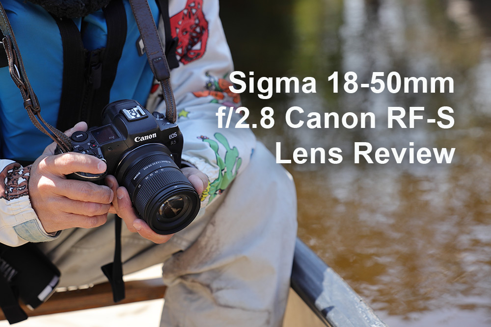 Sigma 18-50mm f/2.8 Canon RF-S Lens Review