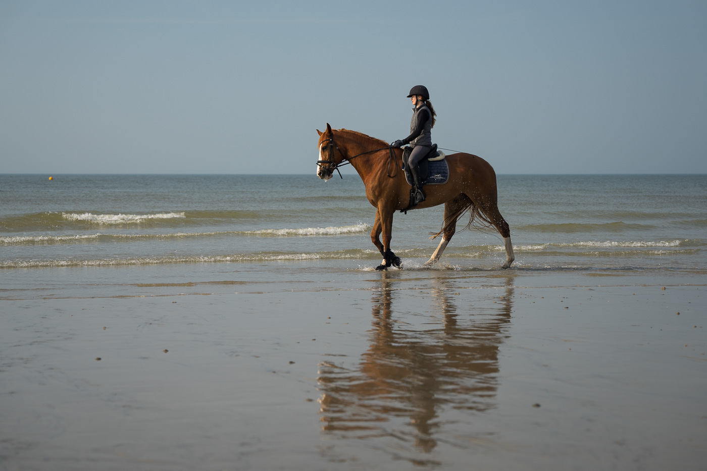 Horse riding on Shoream beach