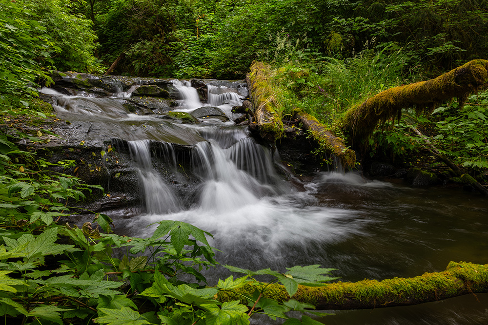 Sample image of tiered waterfall in lush green forest with Sigma 28-105mm Art lens